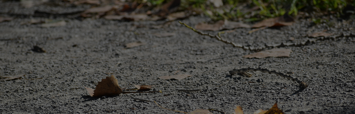 Upclose image of gravel